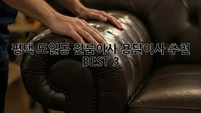 평택 도일동 원룸이사? 용달이사 추천 BEST 3!